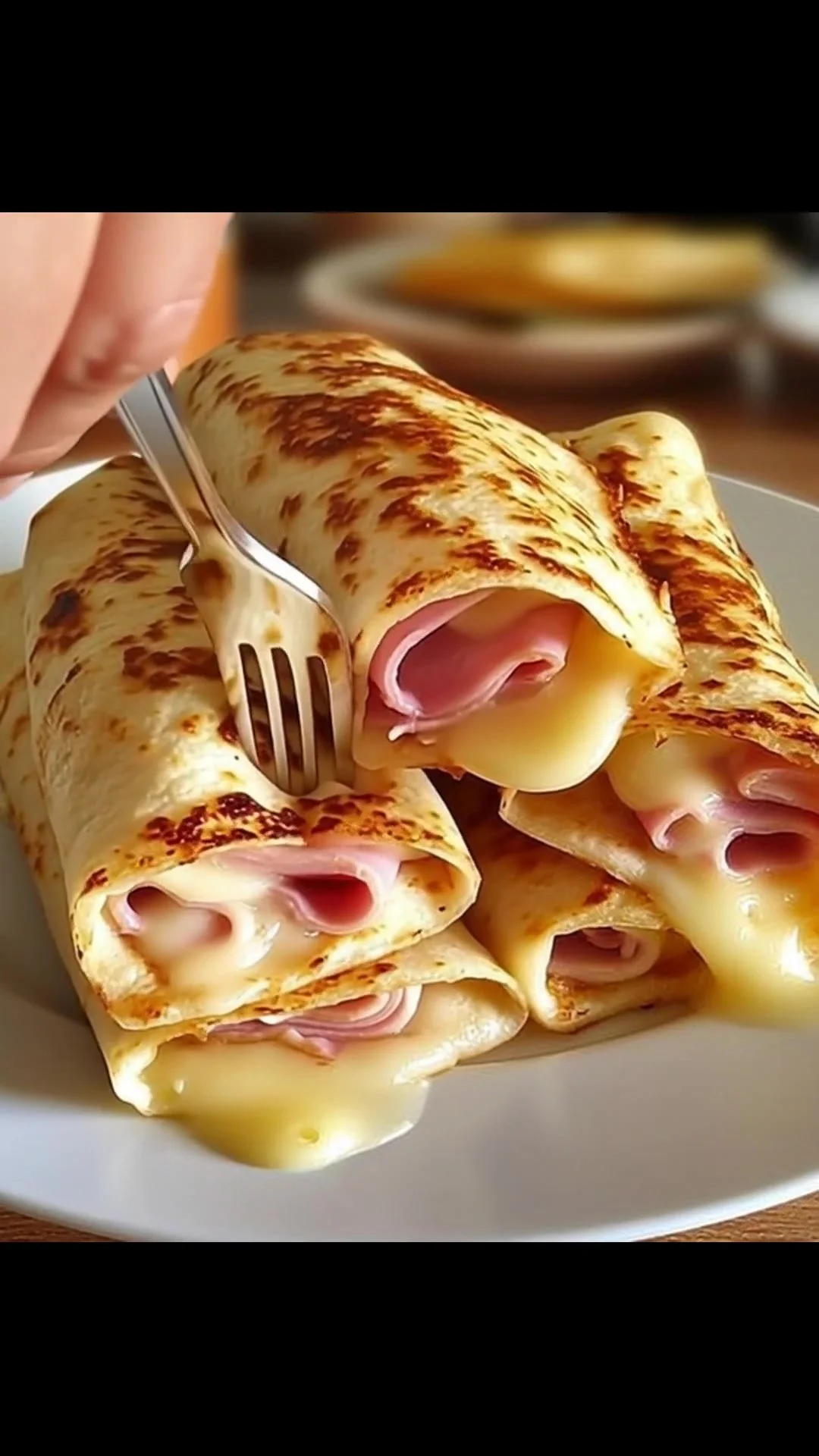 Cheese and ham wraps filled with fresh ingredients