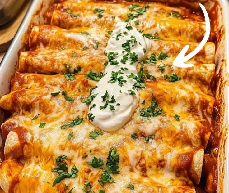Quick and easy chicken enchiladas topped with cheese and garnished with cilantro